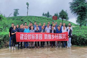 黔地出好茶，馥稷出“藜芦”