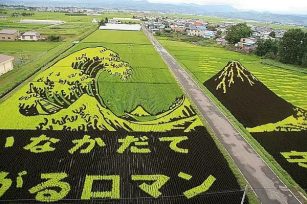 【世界农业案例】从农药减量到有机农业，日本为何比我们领先至少半个世纪？