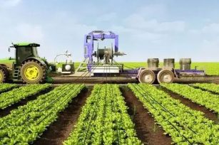 【有机农业】有机农业背后的生态文明转型与乡村振兴