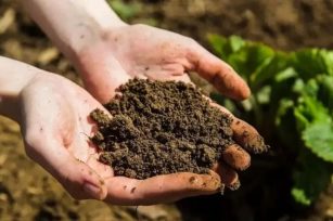 【产业透视】我国有机农业的发展前景