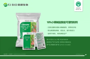 10%小檗碱盐酸盐可湿性粉剂